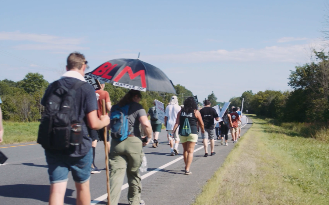 Walk the Walk 2020: Warrenton