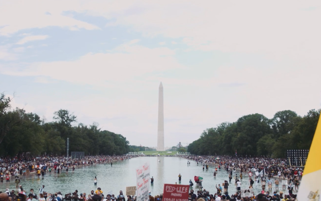Walk the Walk 2020: Highlights